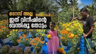 ടെറസിൽ ഒരുക്കിയ പൂങ്കാവനം; സ്ഥലപരിമിതിയെ കാറ്റിൽ പറത്തി വിനീഷ് | Onam 2024