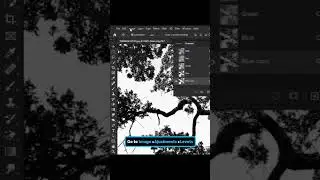 Tree Tracing | Object Tracing Photoshop 