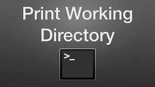 How to View Current Directory With Terminal