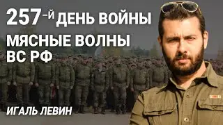 Игаль Левин. 257-й день войны: мясные волны ВС РФ