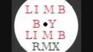 TERRORIST - LIMB BY LIMB - DUB