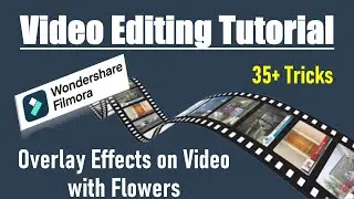 WonderShare Filmora Video Editing Tutorials: Overlay Effects on Video with Flowers