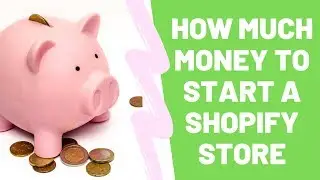 HOW MUCH MONEY YOU NEEDED TO START YOUR FIRST SHOPIFY STORE