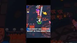 Best Colt Guide! 