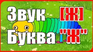 Звук [Ж] и Буква 