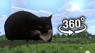 Minecraft 360° VR Maxwell Cat