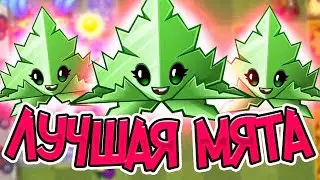 PvZ 2. КУПИЛ МЯТУ: ЛУЧШАЯ МЯТА ДЛЯ ДОНАТА!