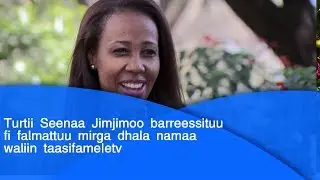 Turtii Seenaa Jimjimoo barreessituu fi falmattuu mirga dhala namaa waliin taasifame|etv