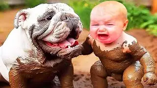 BABY AND ANIMAL - Funniest Babies With Animals Moments || Cool Peachy🍑