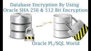 How to use Oracle SHA 256 Bit & 512 Bit Data Encryption Algorithms?