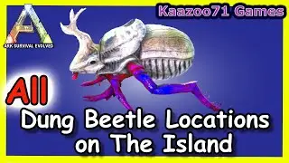 Dung Beetle Locations on The Island Ark 💥