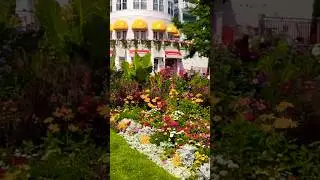 Spectacular gardens on Mackinac Island! #mackinacisland #garden #flowergarden