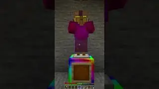 Last time Playing my -1069 Minecraft Hardcore World 😓 