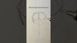 How to draw the male torso || Jmarron