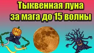 Гайд по ТЕРРАРИИ ТЫКВЕННАЯ ЛУНА.
