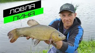 РЫБАЛКА НА ФИДЕР / ЛОВЛЯ ЛИНЯ / FROS FISHING