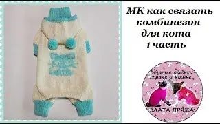 34. МК Как связать комбинезон коту ч1