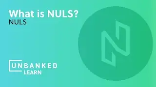 What is Nuls? - NULS Beginner Guide