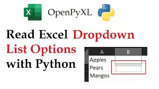 Openpyxl - Reading the Options in a Dropdown List in Excel Workbooks with Python | Data Automation