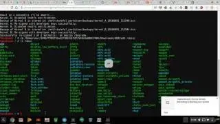 How to enable ADB on chrome OS