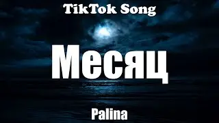 Месяц - Palina (Месяц будет долгий) (Lyrics) - TikTok Song