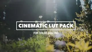 Cinematic LUTs for Filmmakers