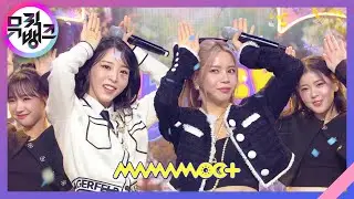 댕댕(dangdang) - 마마무+(MAMAMOO+) [뮤직뱅크/Music Bank] | KBS 230804 방송