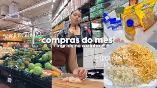 VLOG: DIA DE COMPRAS DO MÊS + FAZENDO STROGONOFF | ingridy na cozinha 👩🏻‍🍳🍲