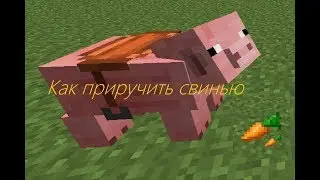 Как приручить свинью в Minecraft"е?
