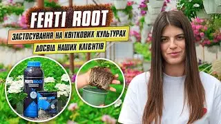 Ferti Root: застосування на квіткових культурах. Вирощування квітів в теплиці. Досвід наших клієнтів