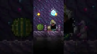 Арбуз арбуз привет... #terraria #мемы #арбуз