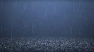 Green Screen Rain With Relaxing Sound