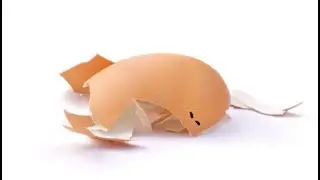 WORLD RECORD EGG SUPERBOWL AD (EGG REVEALED)