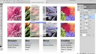 Photoshop CS5 Tutorials-20 Essential Filters 1. Overview