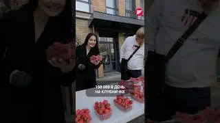 Как заработать 150К рублей в день в Казани на клубничке? 