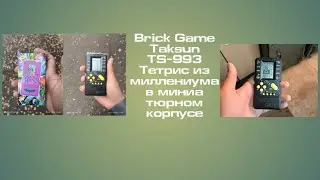 Brick Game 9999 in 1 Taksun TS-993. Тетрис из миллениума в миниатюрном корпусе.