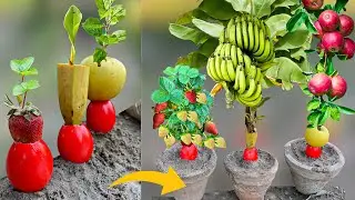 Using Eggs! How To Grow Strawberry From Strawberry Banana From Banana and Apple Tree From Apple