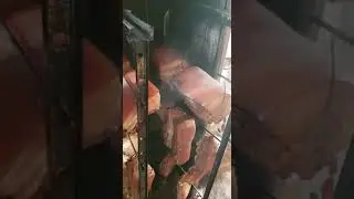 КОРЕЙКА Горячего копчения в коптильне от Вагана "Москит"