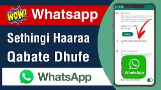 Whatsapp Irraa Waan Faayidaa Guddaa Qabu