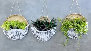 A unique way of growing plants to bring novelty to your garden