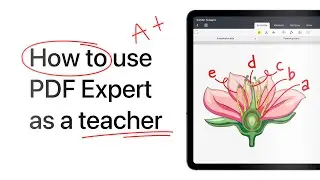 How to use PDF Expert as a teacher