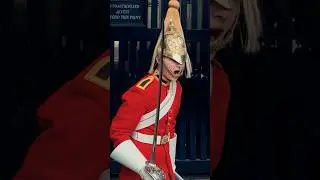 ROYAL GUARD HAS HAD ENOUGH! POLICE STEPS IN! | Horse Guards, Royal guard, Kings Guard, Horse, London