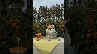 #korea