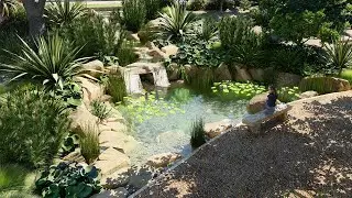 Santa Barbara Path & Pond Animation