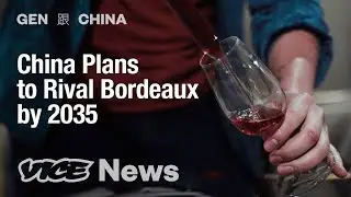 Could China’s Booming Wine Industry Lead to an Ecological Disaster? | Gen 跟 China