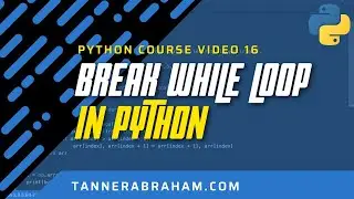 How To Break Infinite While Loop in Python