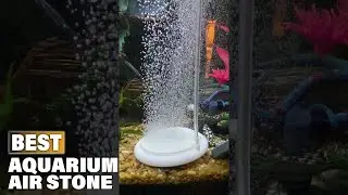 Top 10 Best Aquarium Air Stone On Amazon