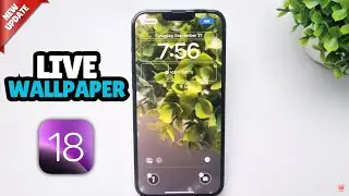 iOS 18: How To Use Live Wallpaper on iPhone