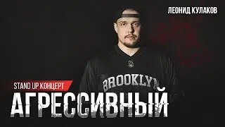 Леонид Кулаков | Агрессивный | StandUp PATRIKI