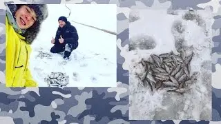 В Поисках Заветной Рыбы . Отчёт 12 .01. 2017